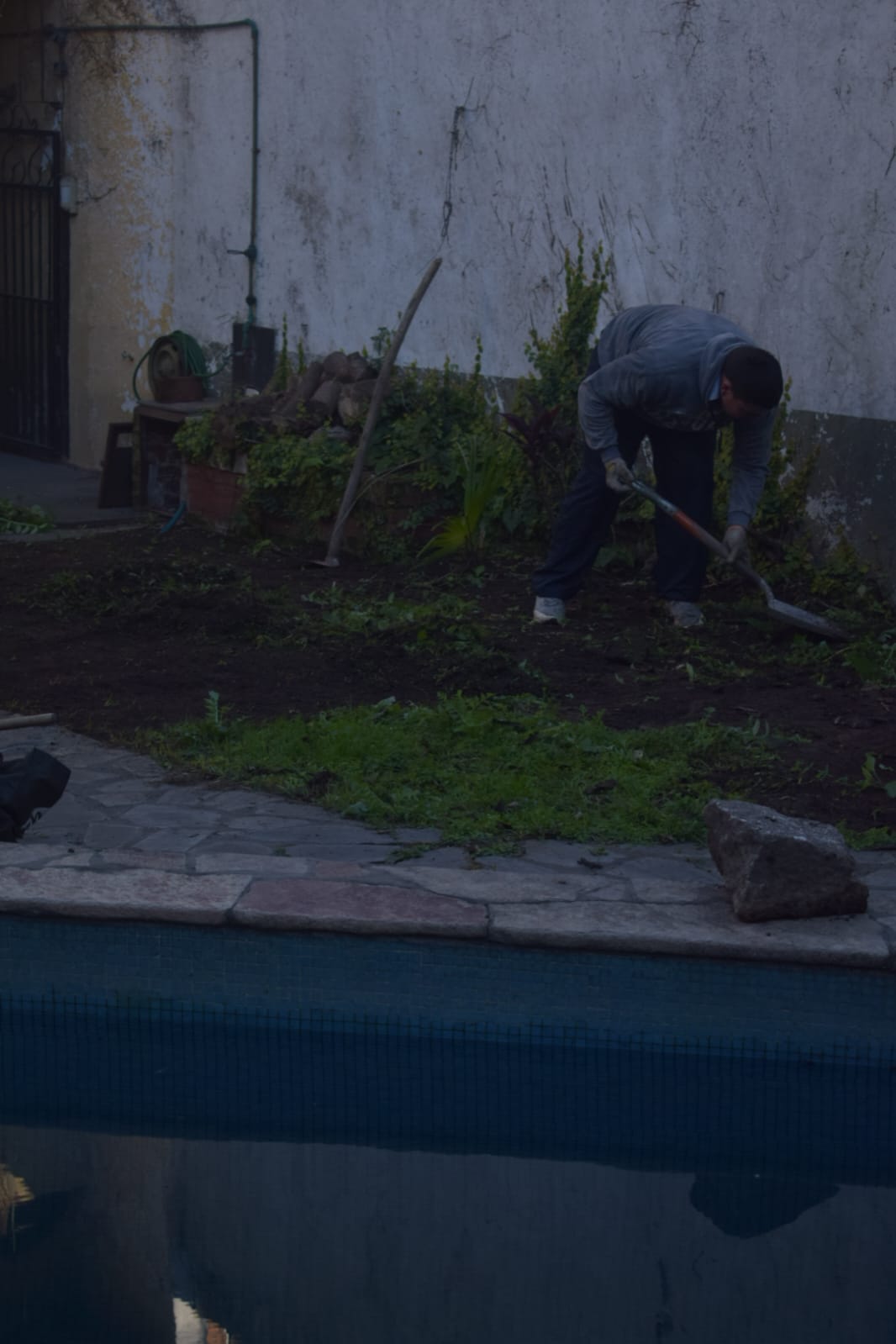 Poda de Altura y Nivelación de Terreno-7