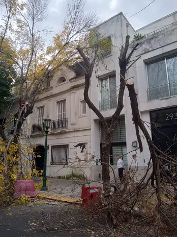 🌳 Servicio de Poda de Altura en Palermo – Buenos Aires
