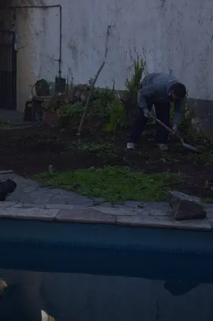 Poda de Altura y Nivelación de Terreno