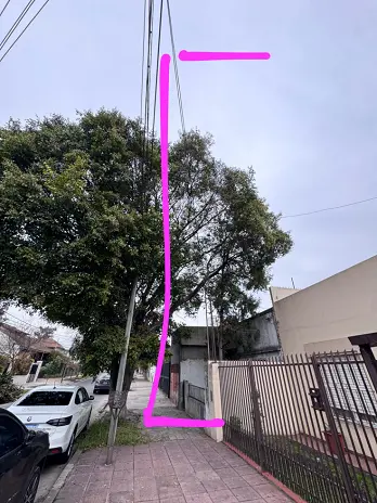 Servicio de Poda de Altura en San Martín, Buenos Aires. Caso Juan Carlos