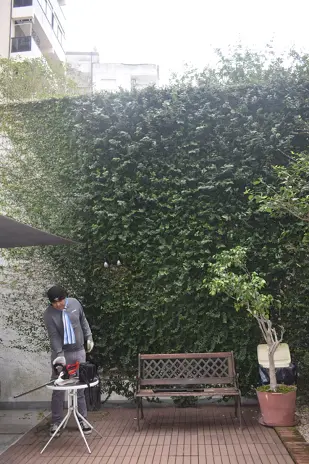 Poda de Enredaderas en Altura en un Consorcio de Parque Chacabuco