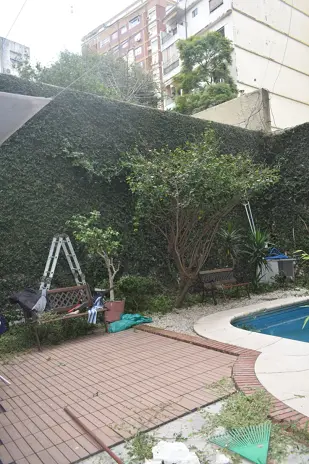 Poda de Enredaderas en Altura en un Consorcio de Parque Chacabuco