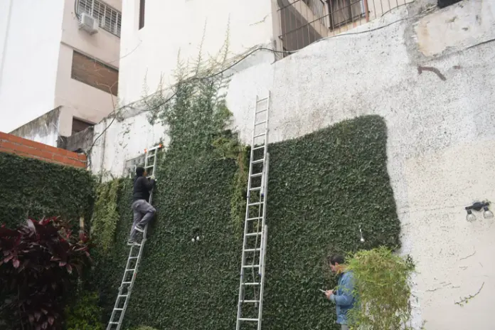 Poda de Enredaderas en Altura en un Consorcio de Parque Chacabuco