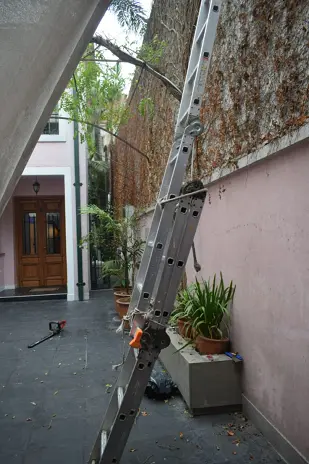 Poda de Enredaderas en Altura en una Vivienda de Abasto