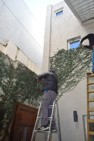 Poda de Enredaderas en Altura en una Vivienda de Villa del Parque