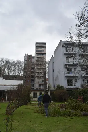 Corte y Retiro de Palmera en Altura en San Martín, Buenos Aires