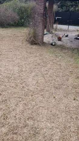 Desmalezado de Terreno en Maschwitz Después de Meses Sin Cortar