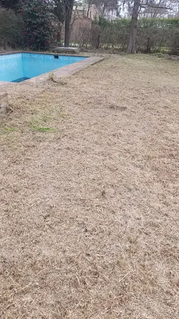 Desmalezado de Terreno en Maschwitz Después de Meses Sin Cortar