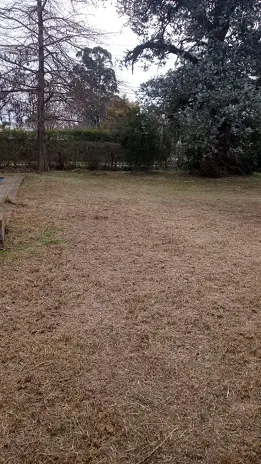 Desmalezado de Terreno en Maschwitz Después de Meses Sin Cortar