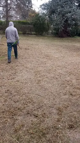 Desmalezado de Terreno en Maschwitz Después de Meses Sin Cortar