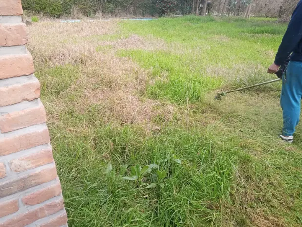 Desmalezado de Terreno en Maschwitz Después de Meses Sin Cortar