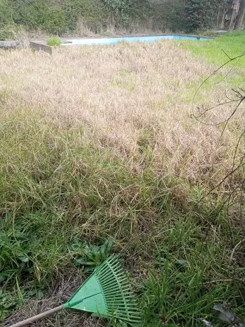 Desmalezado de Terreno en Maschwitz Después de Meses Sin Cortar