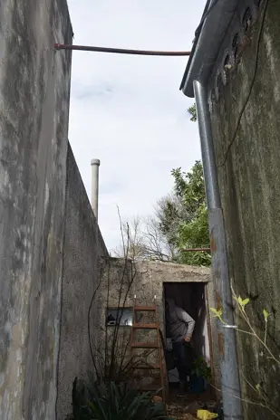 Poda de Altura y Reducción de 3 Árboles en Caseros