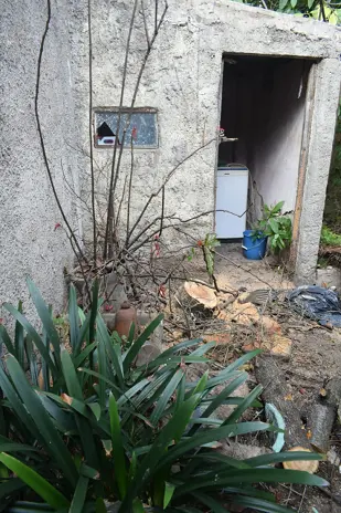 Poda de Altura y Reducción de 3 Árboles en Caseros