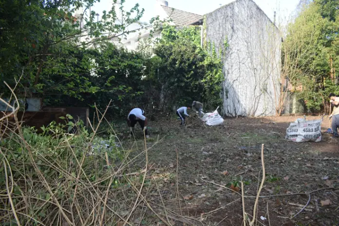 Limpieza y Desmalezado de un Terreno de 600 m² en Belgrano