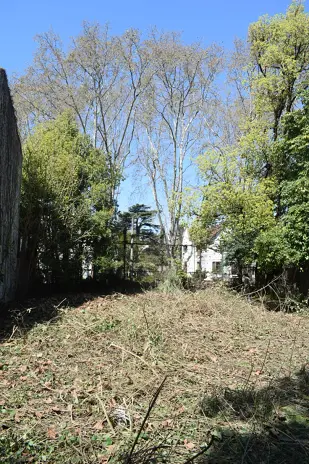 Limpieza y Desmalezado de un Terreno de 600 m² en Belgrano