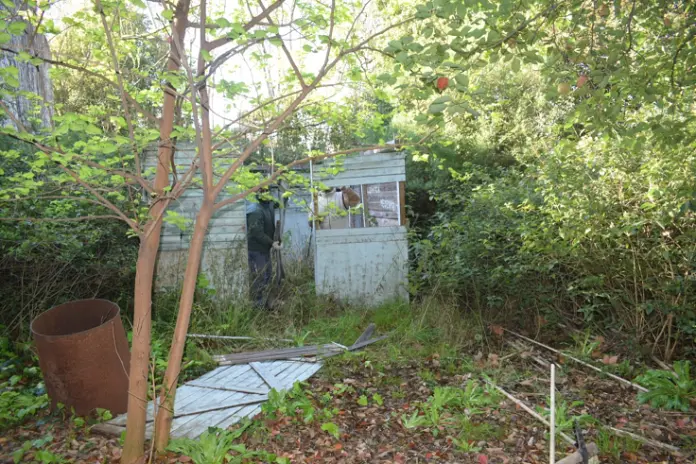 Limpieza y Desmalezado de un Terreno de 600 m² en Belgrano