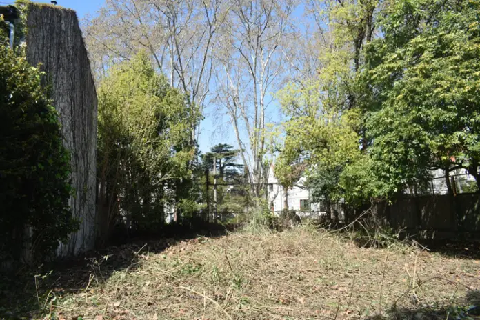 Limpieza y Desmalezado de un Terreno de 600 m² en Belgrano