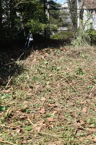 Limpieza y Desmalezado de un Terreno de 600 m² en Belgrano