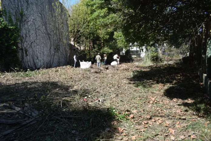 Limpieza y Desmalezado de un Terreno de 600 m² en Belgrano