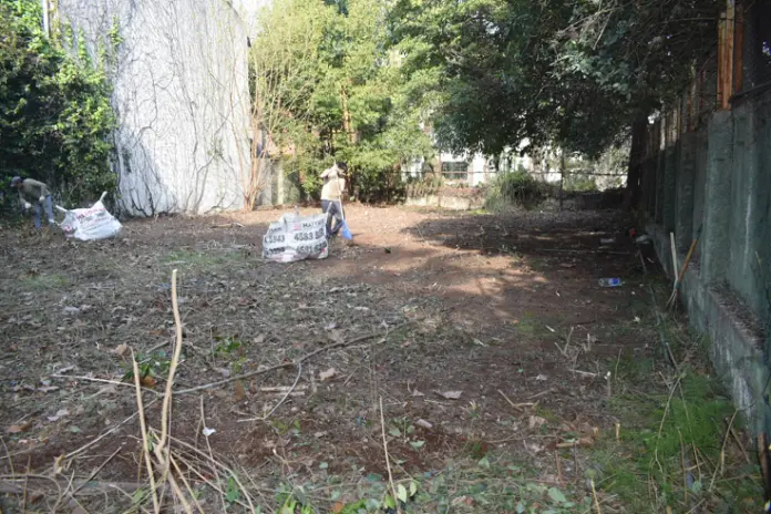 Limpieza y Desmalezado de un Terreno de 600 m² en Belgrano
