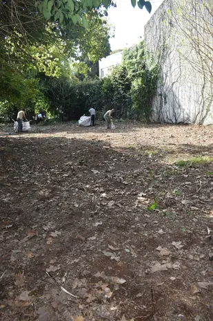 Limpieza y Desmalezado de un Terreno de 600 m² en Belgrano