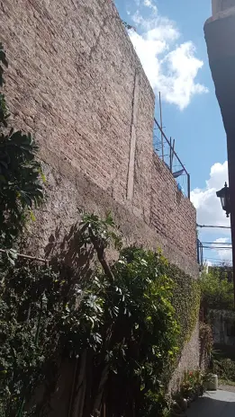 Poda de Enredaderas en Boulogne: Corte Técnico, Orden y Retiro de Restos