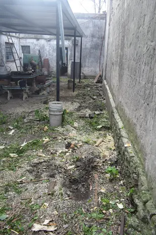 Poda de Altura y Corte de 3 Moreras en Ballester, San Martín
