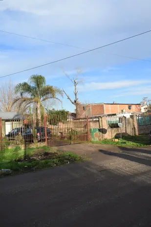 Corte de Álbol de 30 Metros en San Miguel - Buenos Aires
