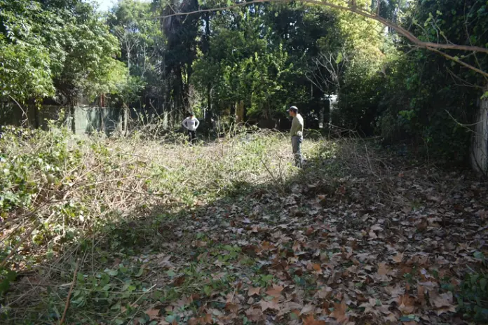 Necesito limpiar mi terreno: limpieza de terrenos y desmalezado en Buenos Aires