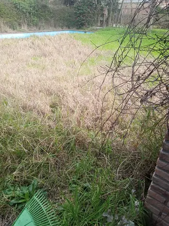 Necesito limpiar mi terreno: limpieza de terrenos y desmalezado en Buenos Aires