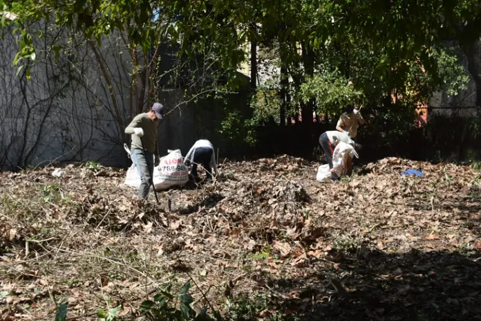 Necesito limpiar mi terreno: limpieza de terrenos y desmalezado en Buenos Aires