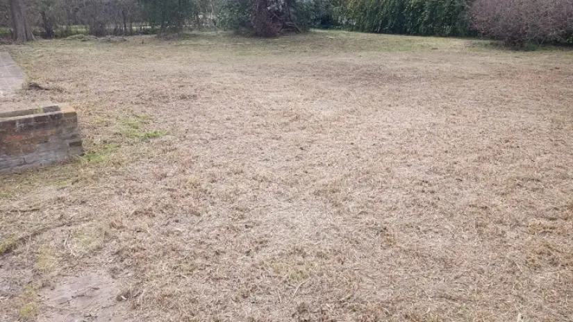 Necesito limpiar mi terreno: limpieza de terrenos y desmalezado en Buenos Aires