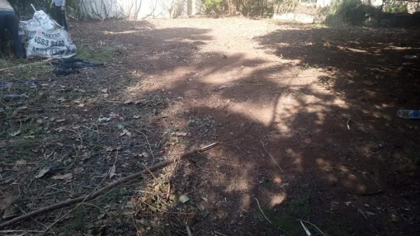 Necesito limpiar mi terreno: limpieza de terrenos y desmalezado en Buenos Aires