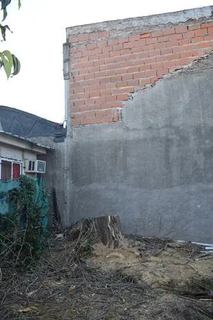 Corte de Álbol de 30 Metros en San Miguel - Buenos Aires
